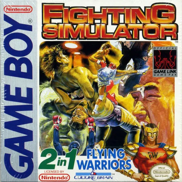  Fighting Simulator: 2-in-1 Flying Warriors 