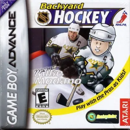  Backyard Hockey 